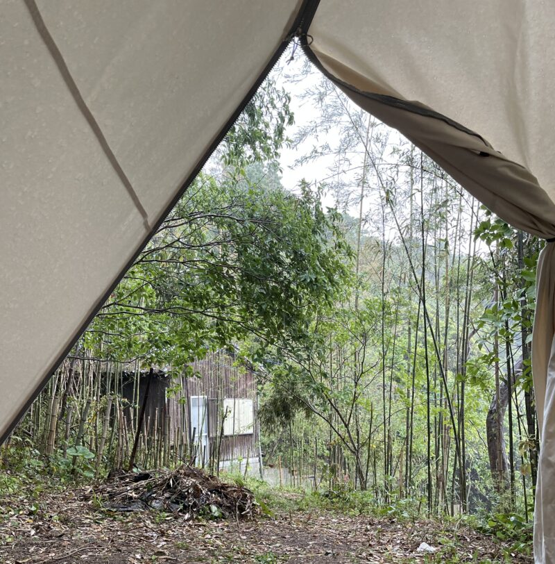 テントからみた開拓中のキャンプ場