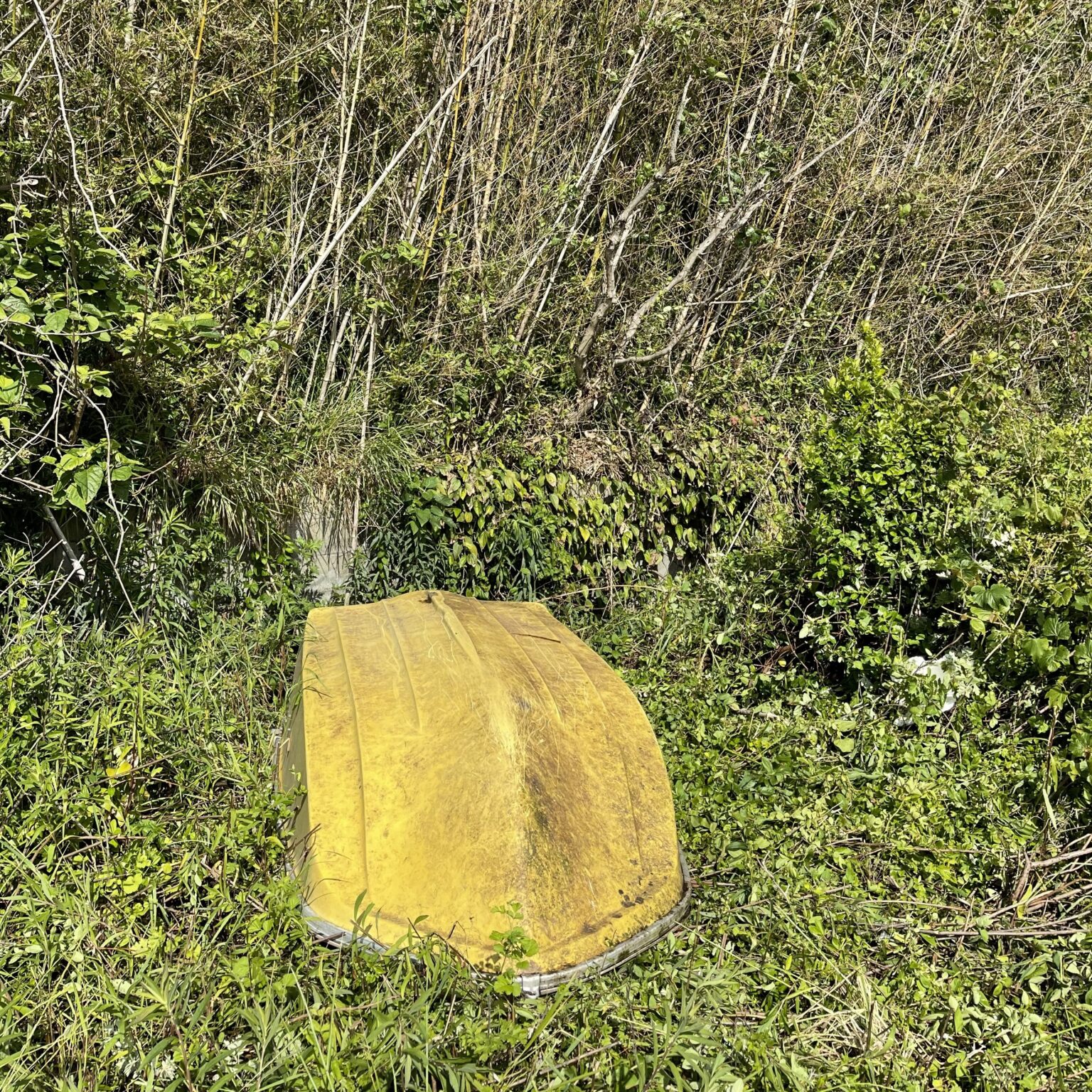 廃墟に眠っていたヤマハのミニプレジャーボート