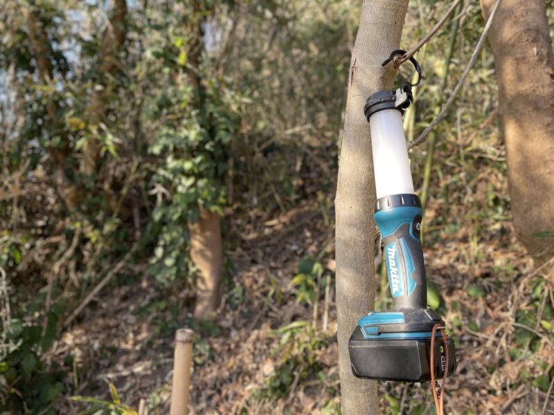 マキタ 充電式LEDワークライト「ML807」木の枝に吊り下げて使用