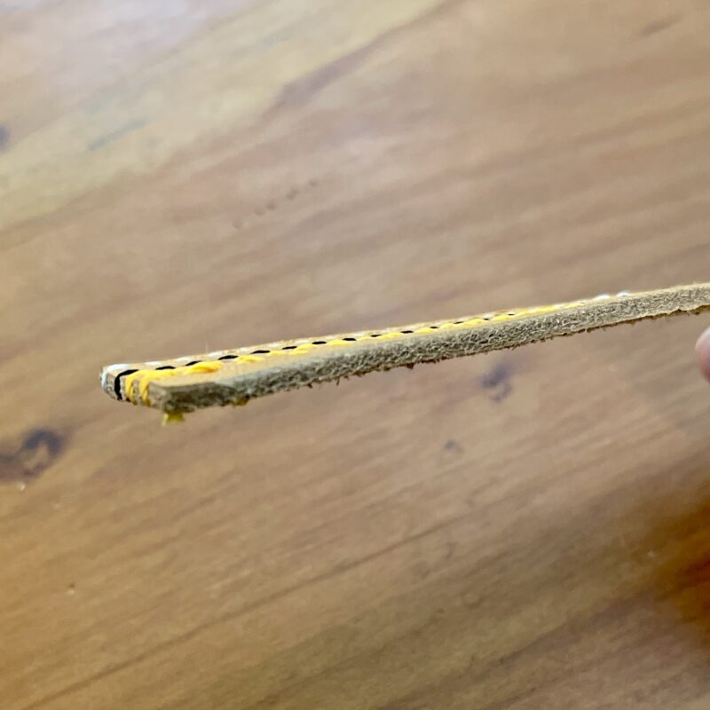 2.5mmの厚さの皮を切っただけの断面